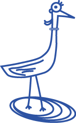 しらさぎ婦人ライン