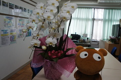 にゃんこ大戦争