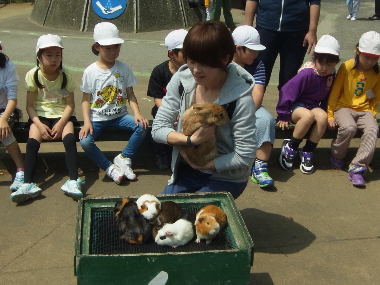 遠足【機種依存文字】